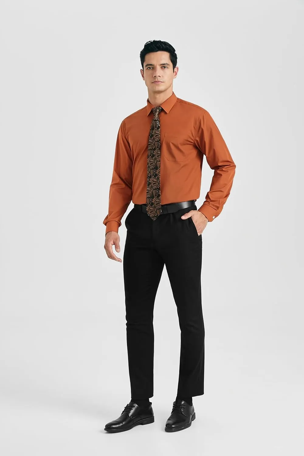 HISDERN Mens Dress Shirt Long Sleeve Matching Tie and Pocket Square Set Classic Button Down Formal Business Shirts