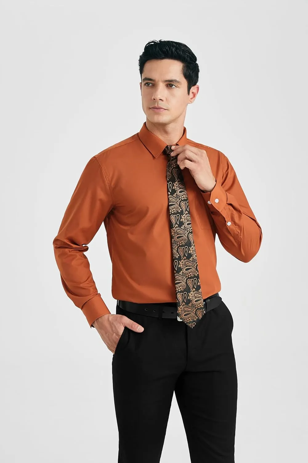 HISDERN Mens Dress Shirt Long Sleeve Matching Tie and Pocket Square Set Classic Button Down Formal Business Shirts