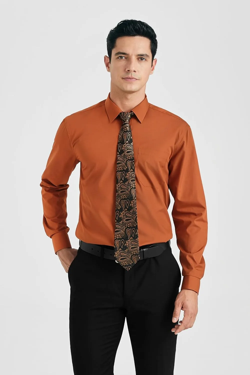 HISDERN Mens Dress Shirt Long Sleeve Matching Tie and Pocket Square Set Classic Button Down Formal Business Shirts