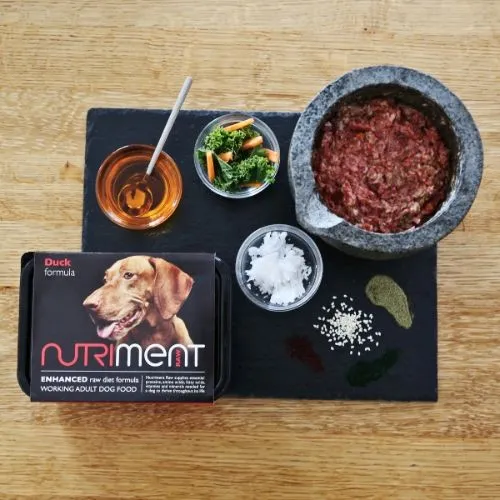 Nutriment Duck Formula RAW Frozen Adult Dog Food Tub 500g