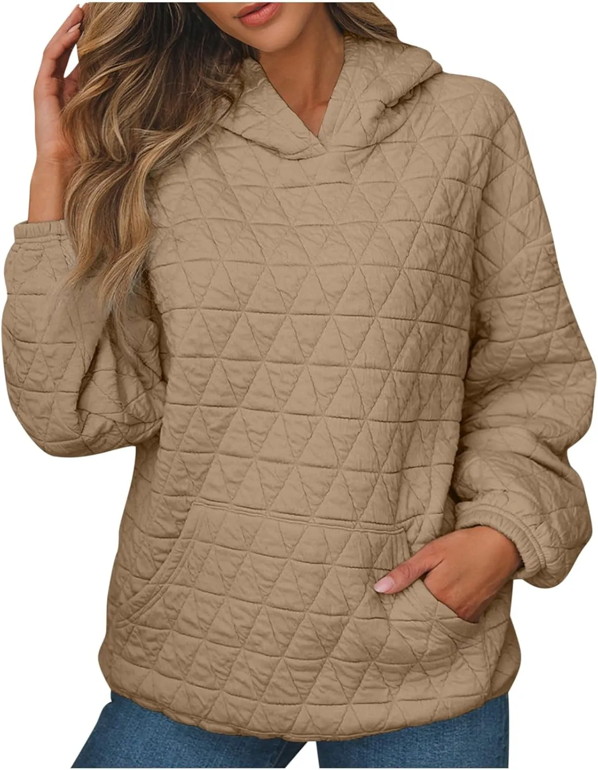 Warm Hooded Sweatshirts for Women Solid Plaid Casual Fall Winter Hoodies Oversized Comfy Blouses for Outing Street
