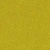 Wool Silk Pashmina | Mustard